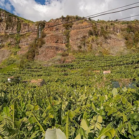 Oscar's House By An Island